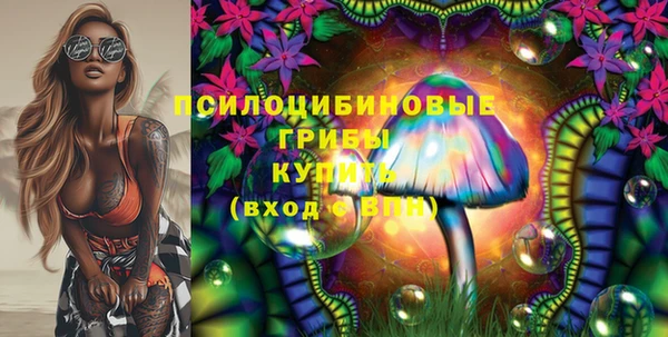 ПСИЛОЦИБИНОВЫЕ ГРИБЫ Бугульма
