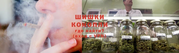 ПСИЛОЦИБИНОВЫЕ ГРИБЫ Бугульма
