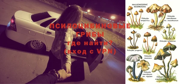 2c-b Бородино