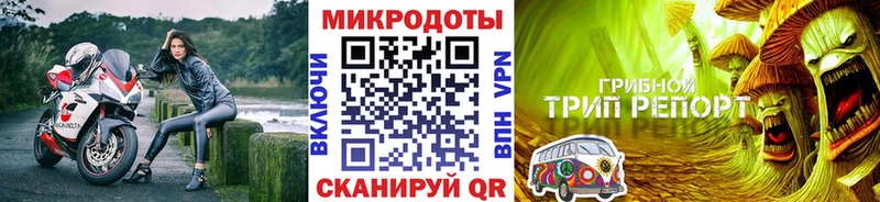 Галлюциногенные грибы Cubensis  Дальнереченск 