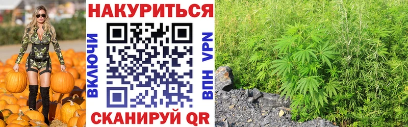 Бошки Шишки конопля  MEGA tor  Дальнереченск 
